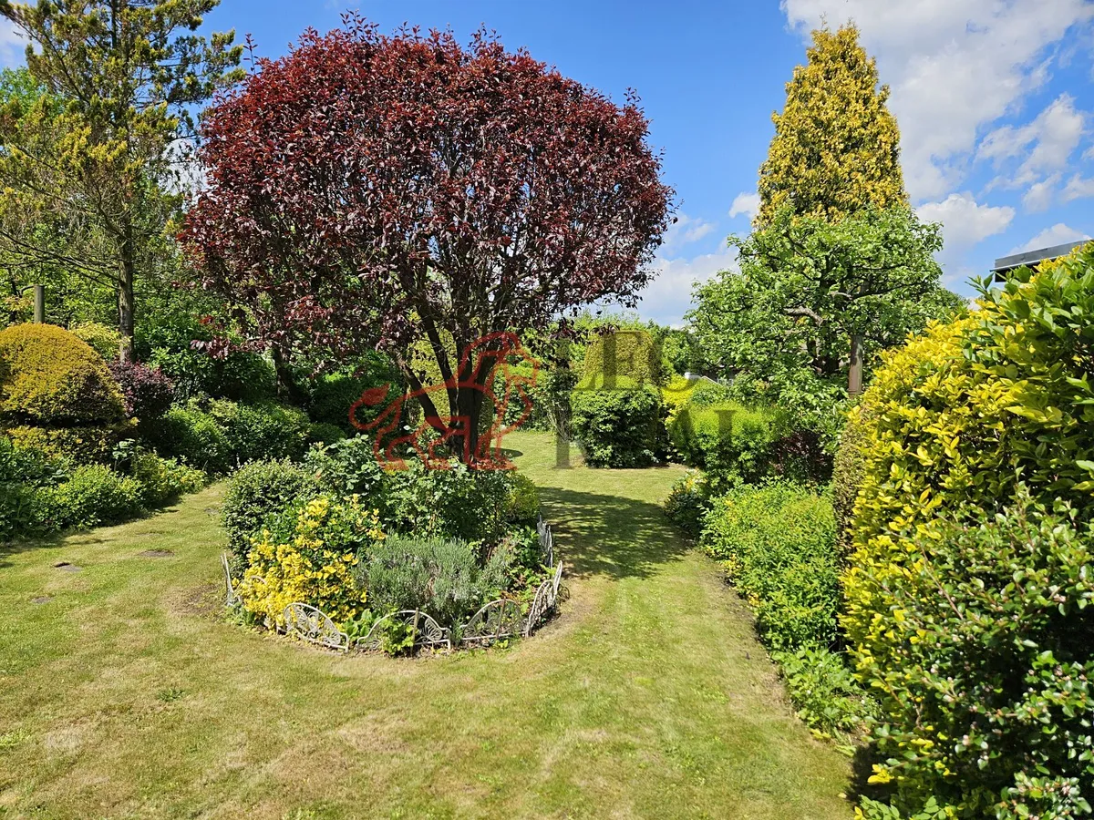 Fotka 12 z 12